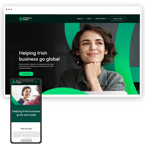 Enterprise Ireland website
