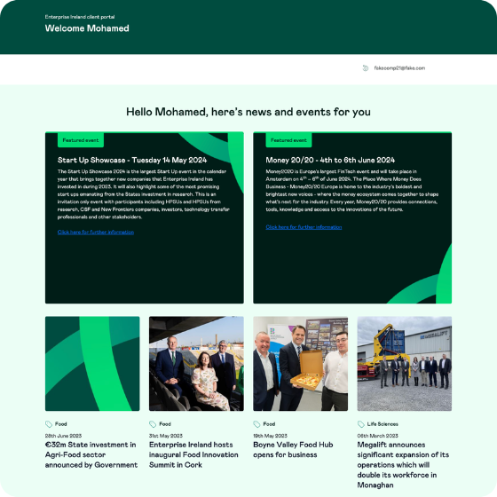 Enterprise Ireland Platform