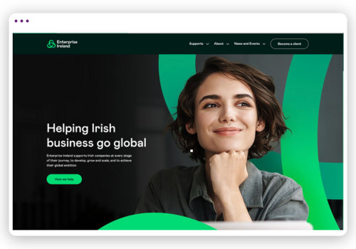 Enterprise Ireland Overview